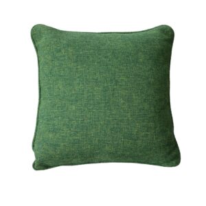 Avocado.jpg מוקטן4