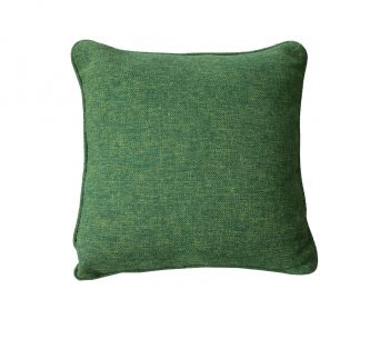 Avocado.jpg מוקטן4