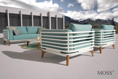 Moss 1+3+1 (3).jpg מוקטן